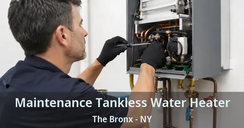 Maintenance Tankless Water Heater The Bronx - NY