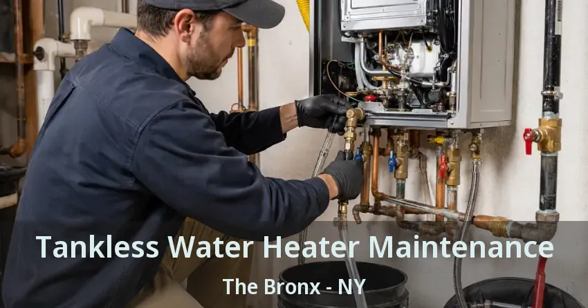 Tankless Water Heater Maintenance The Bronx - NY